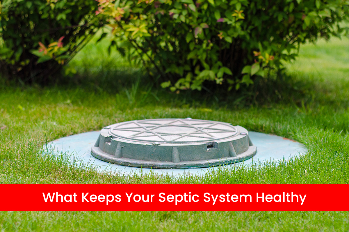 What Keeps Your Septic System Healthy?