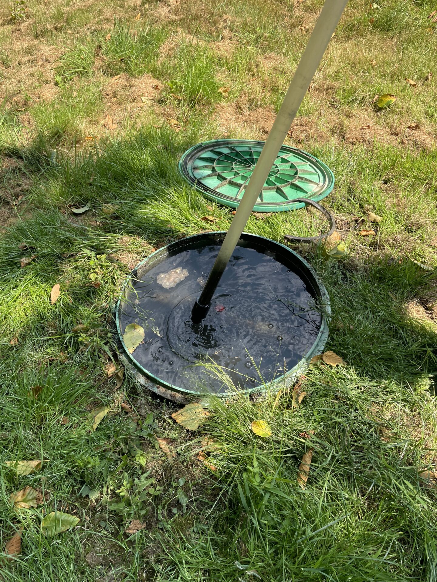 Why Septic Systems Fail in Anacortes, WA | Expert Tips