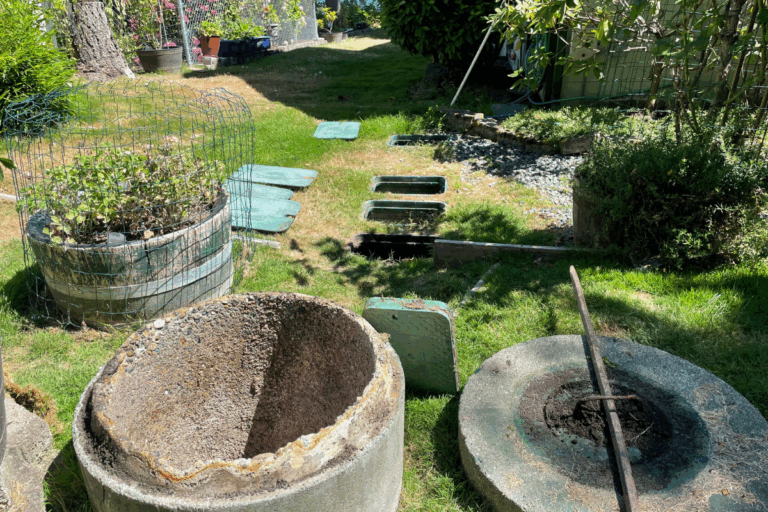Essential Guide to Septic System Services in WA