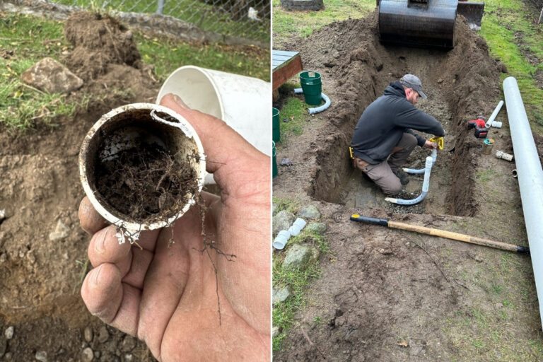 drain field repair